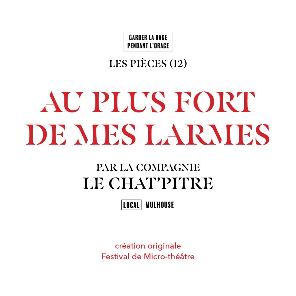 12-Chat-Pitre-1
