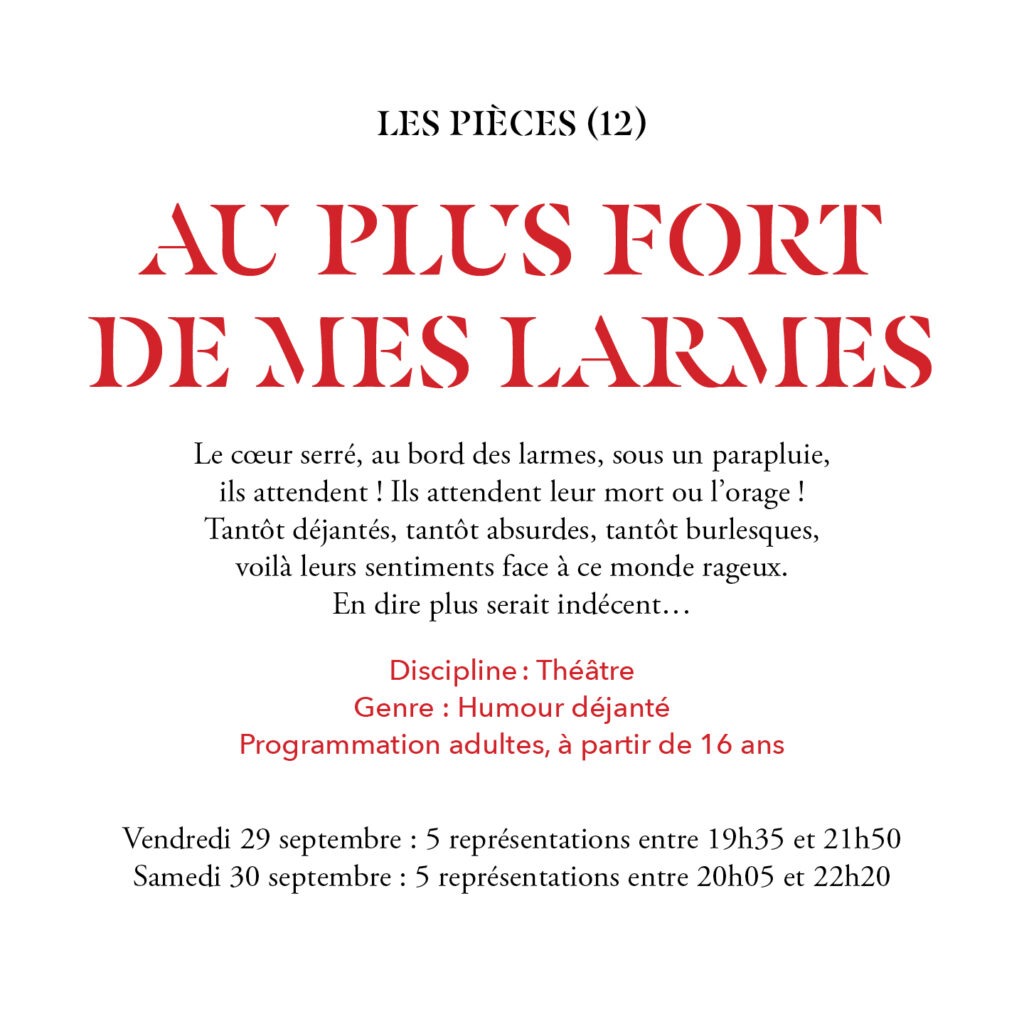 12-Chat-Pitre-2