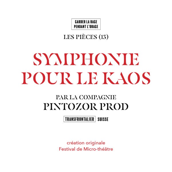 Symphonie pour le kaos (Ve 19H40) – Image 2